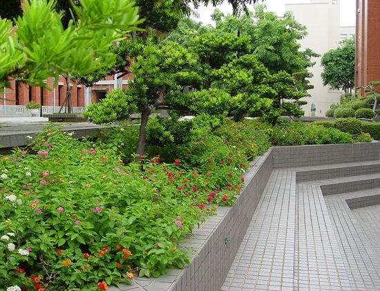 Scene of NUTN Campus