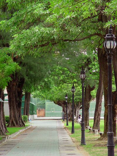 Scene of NUTN Campus