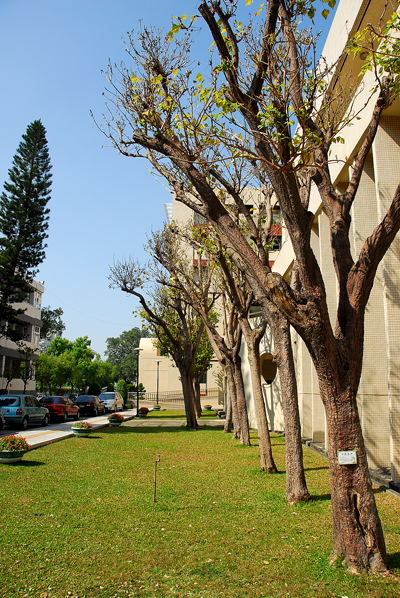 Scene of NUTN Campus