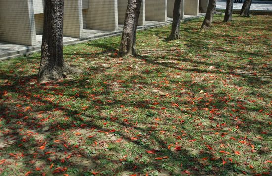 Scene of NUTN Campus