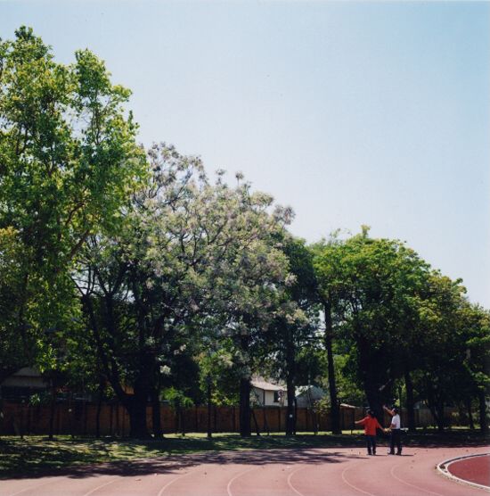 Scene of NUTN Campus