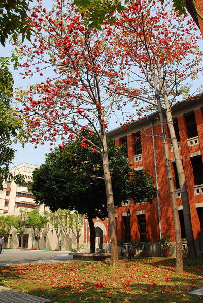 Scene of NUTN Campus