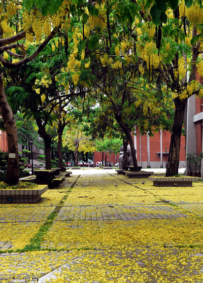 Scene of NUTN Campus