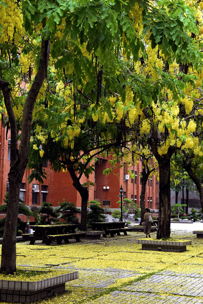 Scene of NUTN Campus