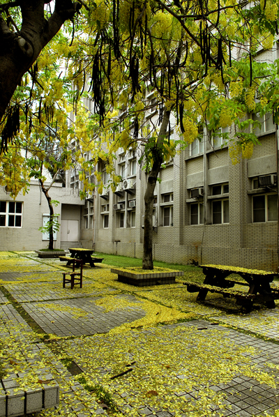 Scene of NUTN Campus