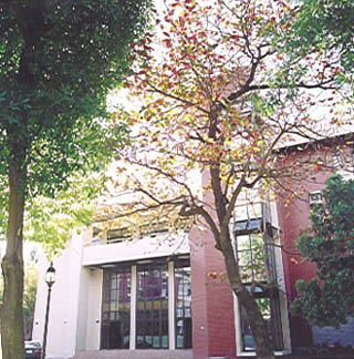 p5e11.jpg (50937 bytes)